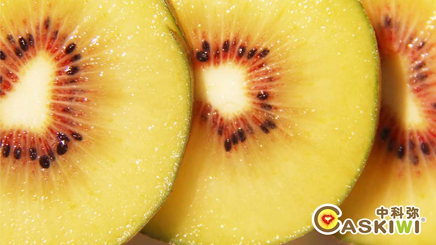 东红猕猴桃上市了！！！——中国科学院武汉植物园专利品种