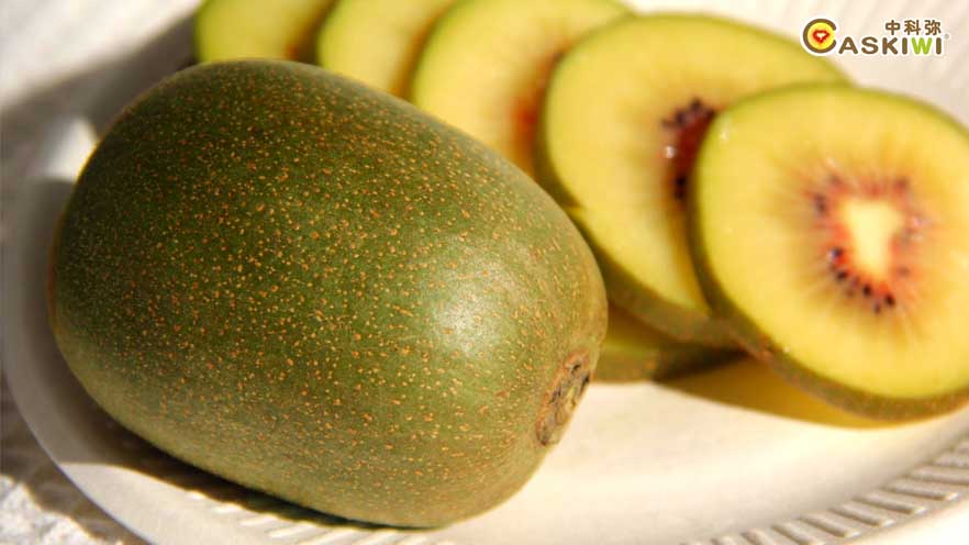 中国科学院武汉植物园专利品种猕猴桃